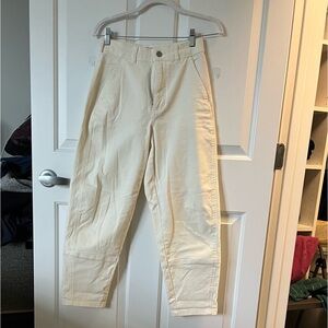 Everlane Utility Barrel Pant